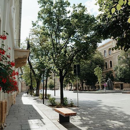 Contessa Apartment Cluj Napoca Zewnętrze zdjęcie