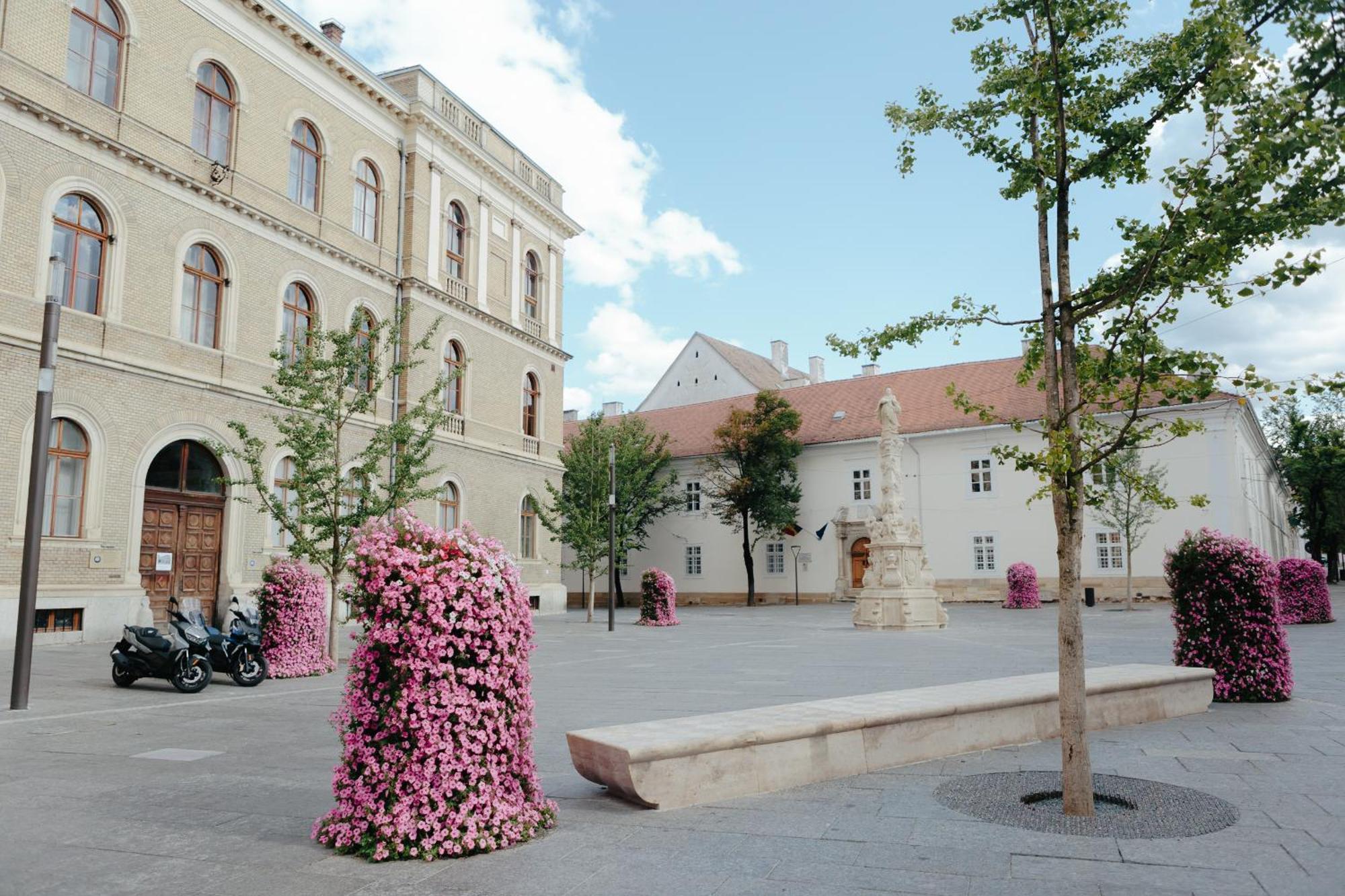 Contessa Apartment Cluj Napoca Zewnętrze zdjęcie