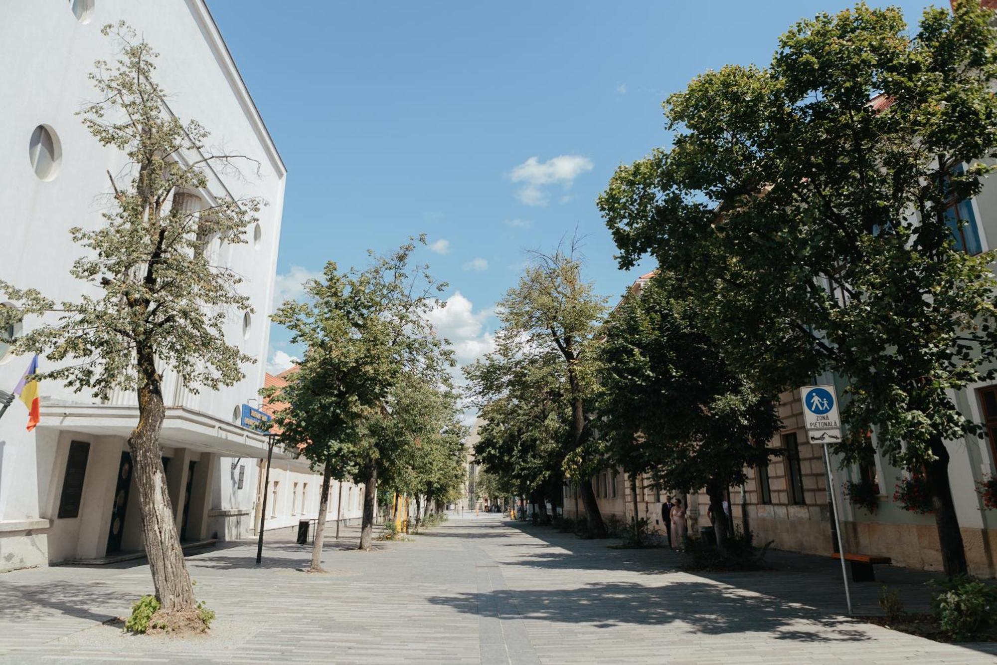 Contessa Apartment Cluj Napoca Zewnętrze zdjęcie