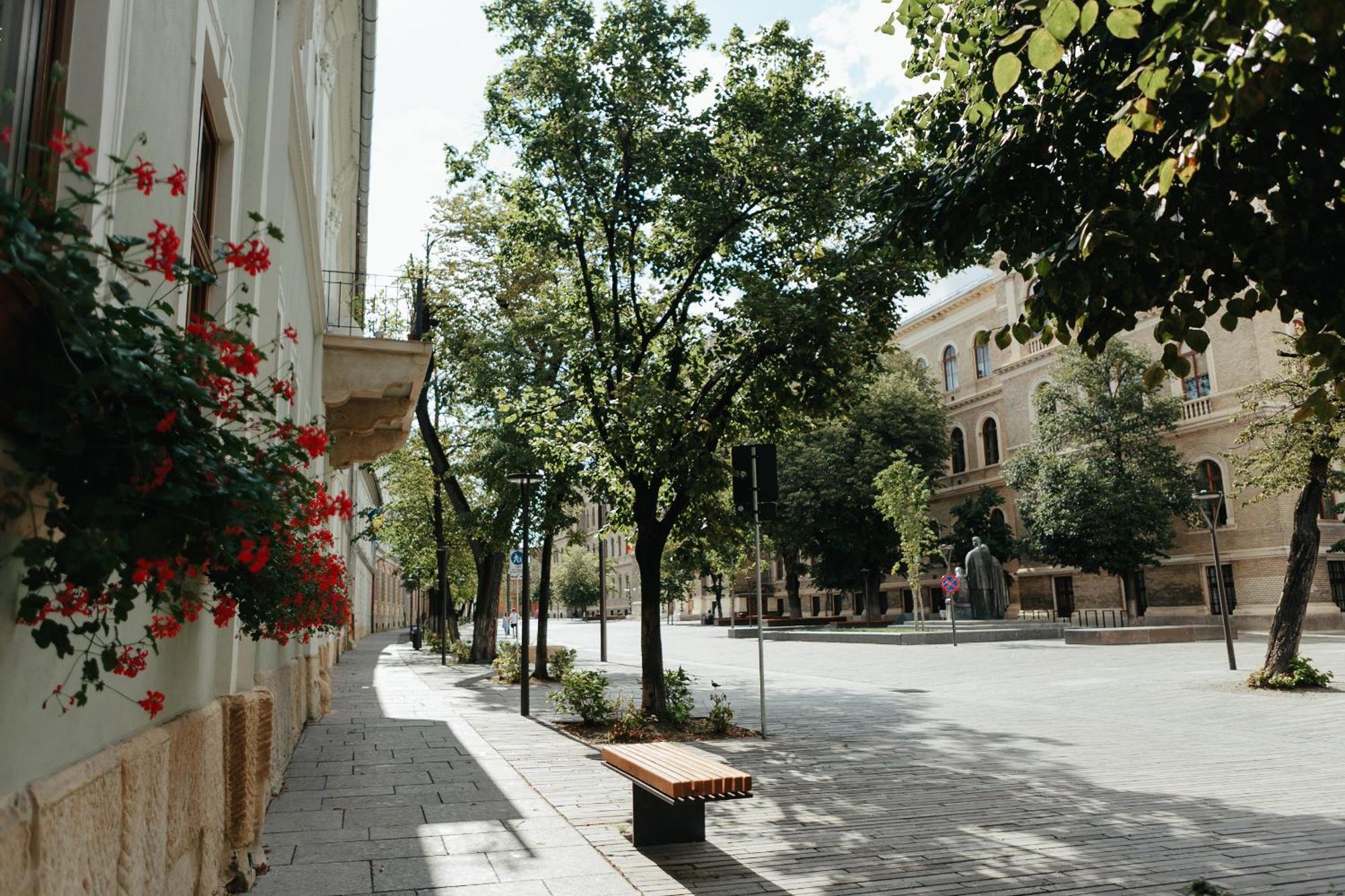 Contessa Apartment Cluj Napoca Zewnętrze zdjęcie