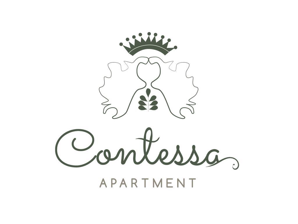 Contessa Apartment Cluj Napoca Zewnętrze zdjęcie