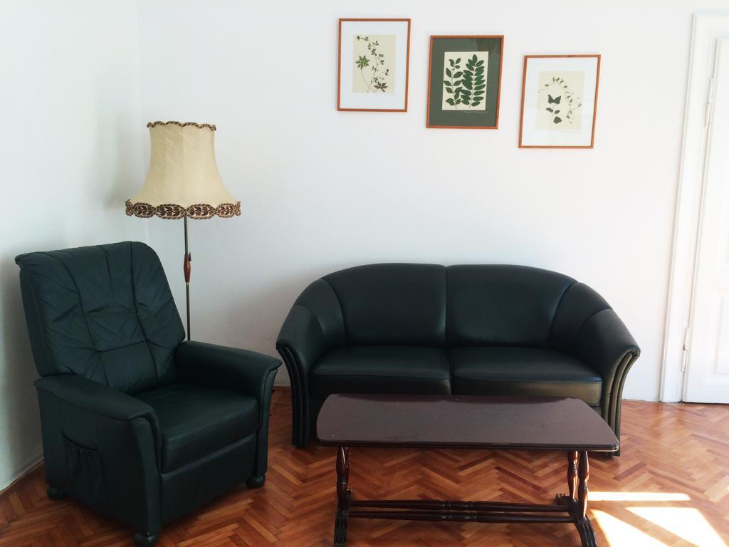 Contessa Apartment Cluj Napoca Zewnętrze zdjęcie